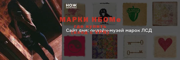 молекула духа Алексеевка