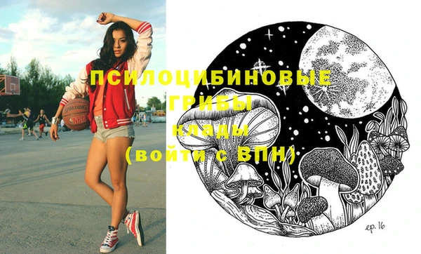 молекула духа Алексеевка