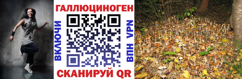 Галлюциногенные грибы ЛСД  дарнет шоп  Петропавловск-Камчатский 