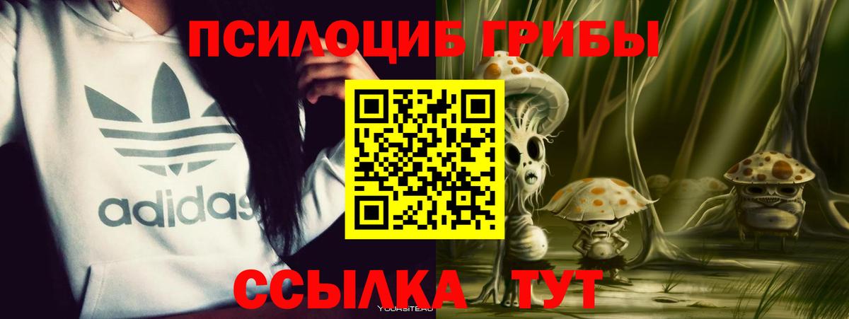 Петропавловск-Камчатский  Псилоцибиновые грибы ЛСД  Вход с VPN 